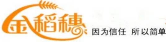 金稻穗理财保险网