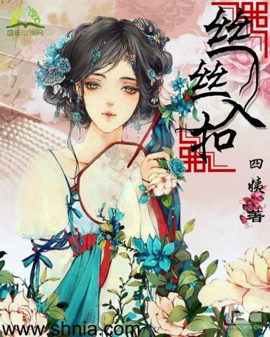 丝丝入扣（小说书名）