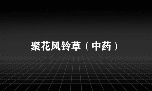 聚花风铃草（中药）