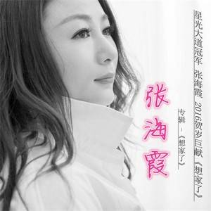 想家了（张海霞演唱歌曲）