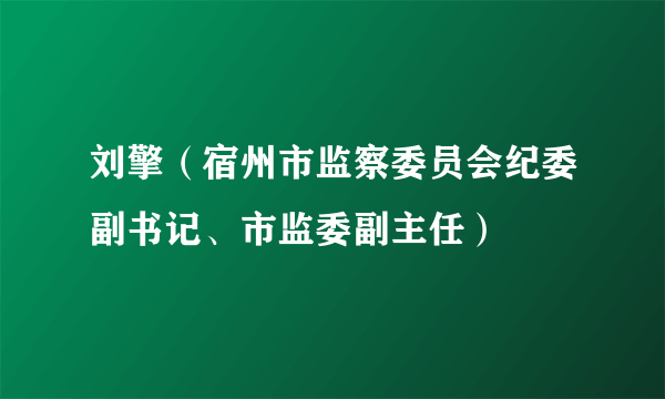 刘擎（宿州市监察委员会纪委副书记、市监委副主任）