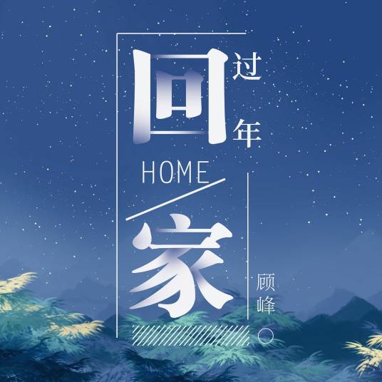 过年回家（顾峰演唱歌曲）