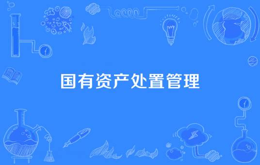 国有资产处置管理