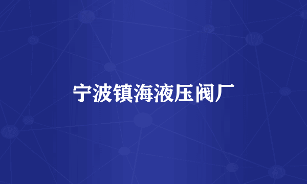 宁波镇海液压阀厂