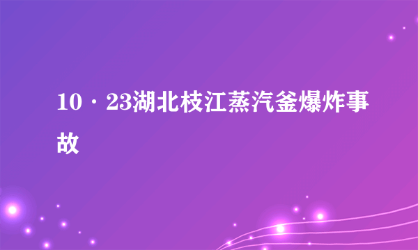 10·23湖北枝江蒸汽釜爆炸事故
