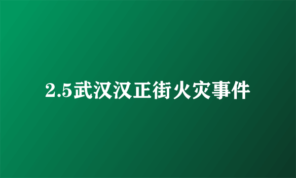 2.5武汉汉正街火灾事件