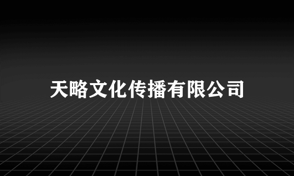 天略文化传播有限公司
