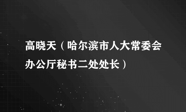 高晓天（哈尔滨市人大常委会办公厅秘书二处处长）