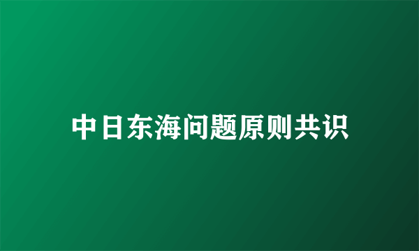 中日东海问题原则共识