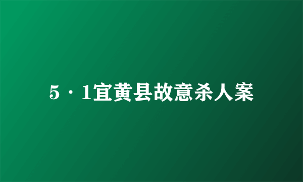 5·1宜黄县故意杀人案