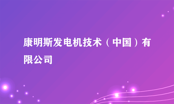 康明斯发电机技术（中国）有限公司
