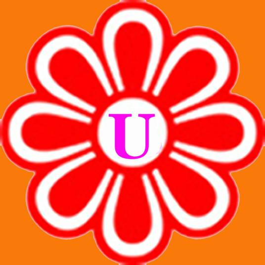 u（英文缩写）