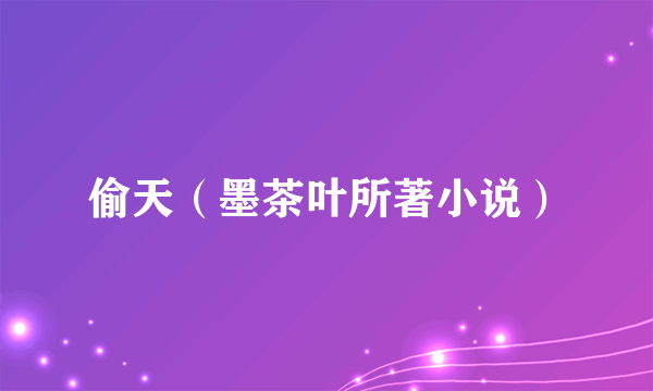 偷天（墨茶叶所著小说）