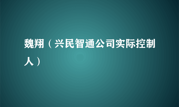 魏翔（兴民智通公司实际控制人）
