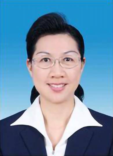 林洁（第十四届全国政协委员、文化文史和学习委员会委员，广东省深圳市政协党组书记、主席）