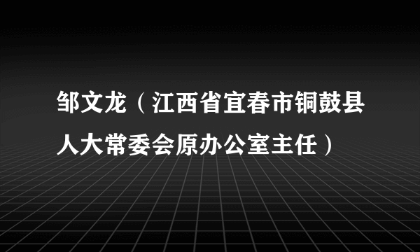 邹文龙（江西省宜春市铜鼓县人大常委会原办公室主任）