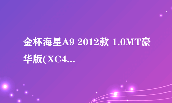 金杯海星A9 2012款 1.0MT豪华版(XC4F18-F)