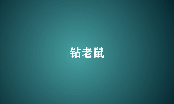 钻老鼠