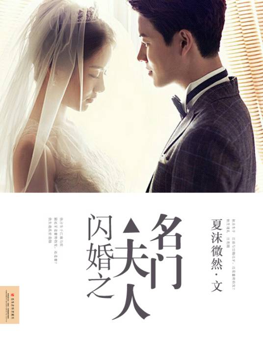闪婚之名门夫人