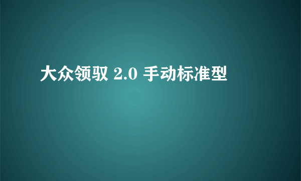 大众领驭 2.0 手动标准型