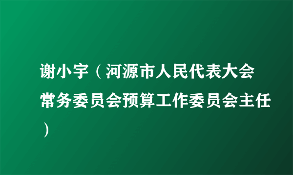 谢小宇（河源市人民代表大会常务委员会预算工作委员会主任）