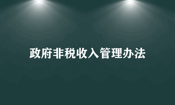 政府非税收入管理办法