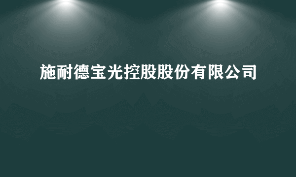 施耐德宝光控股股份有限公司