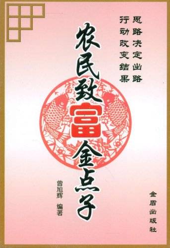农民致富点子