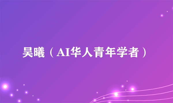吴曦（AI华人青年学者）