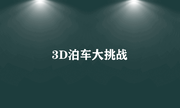 3D泊车大挑战