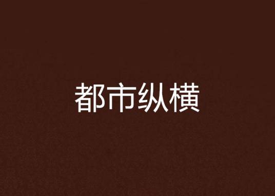 都市纵横（晓枫创作的网络小说）