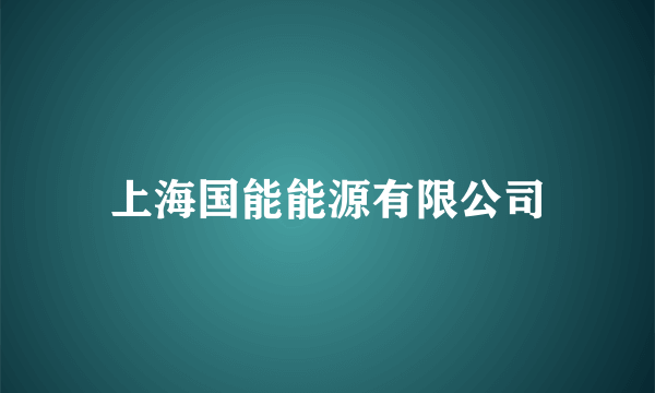 上海国能能源有限公司