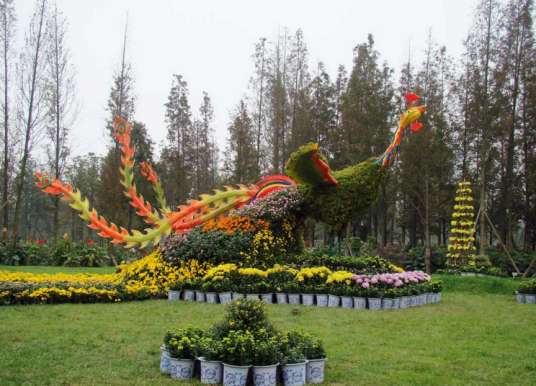 成都青白江金秋菊花节