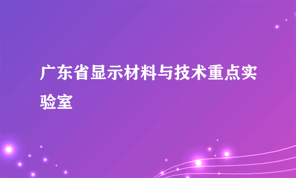 广东省显示材料与技术重点实验室