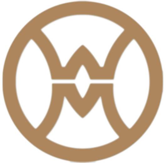 广东金矿投资集团有限公司