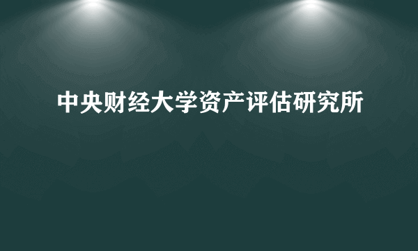 中央财经大学资产评估研究所