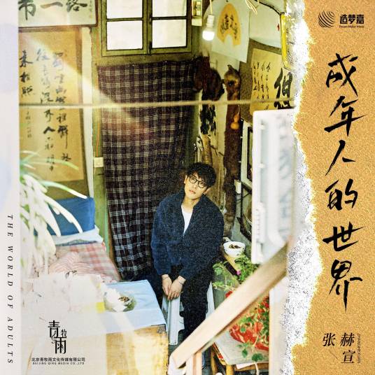 成年人的世界（张赫宣演唱的歌曲）