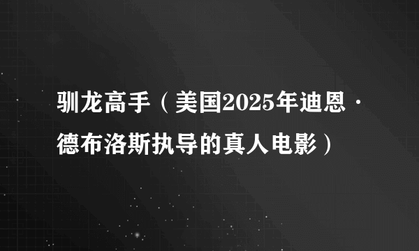 驯龙高手（美国2025年迪恩·德布洛斯执导的真人电影）