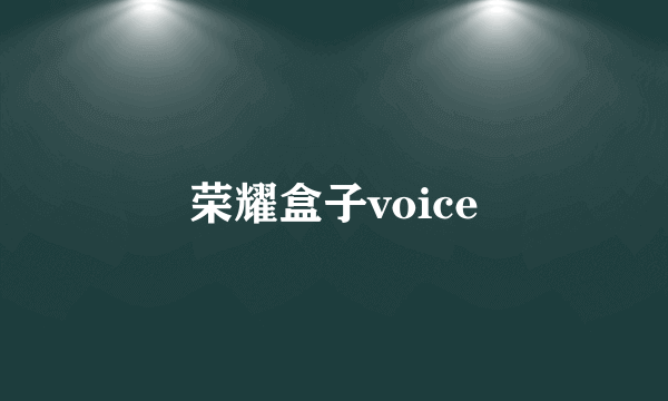 荣耀盒子voice
