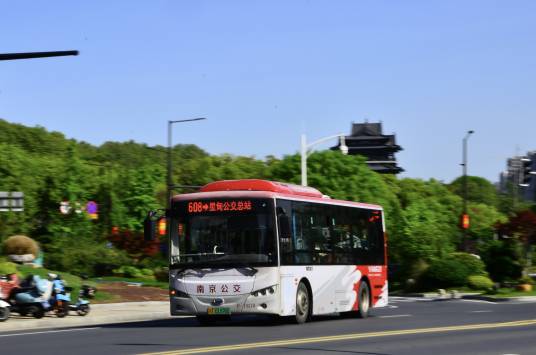 南京公交608路
