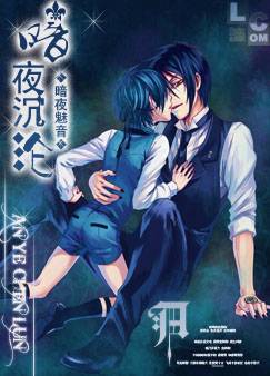 暗夜沉沦（暗夜魅音创作的小说作品）
