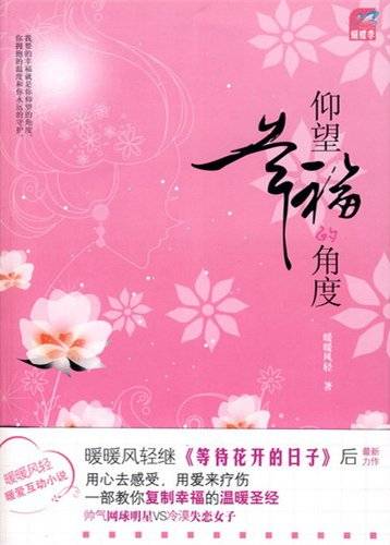 仰望幸福的角度（国际文化出版公司2008年版图书）