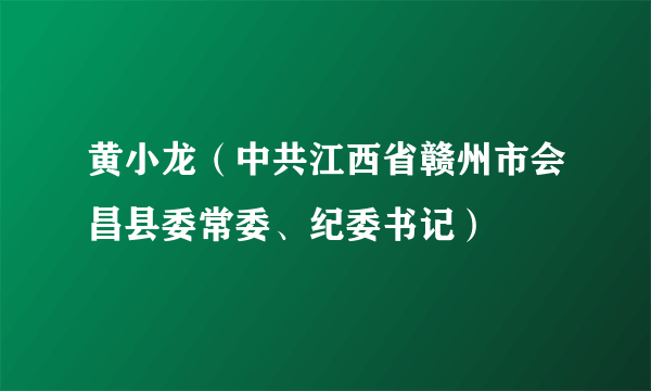 黄小龙（中共江西省赣州市会昌县委常委、纪委书记）