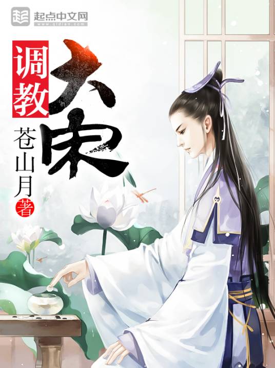 调教大宋（苍山月创作的网络小说）