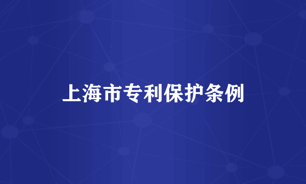 上海市专利保护条例