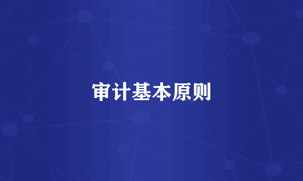 审计基本原则