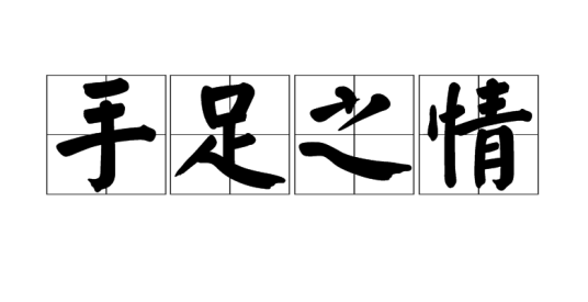 手足之情（汉语成语）