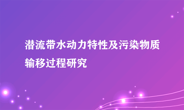 潜流带水动力特性及污染物质输移过程研究