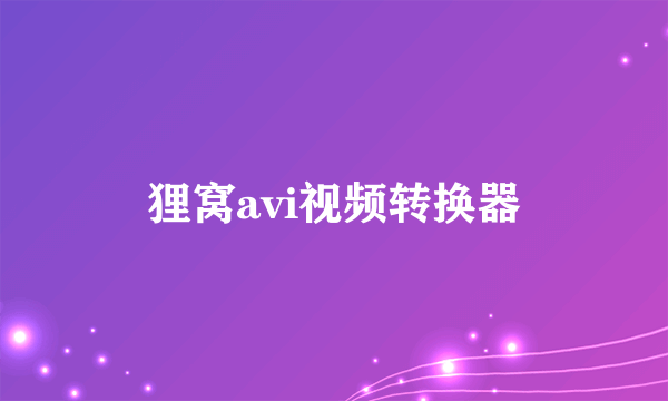 狸窝avi视频转换器