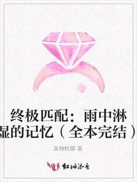 终极匹配：雨中淋湿的记忆（全本完结）